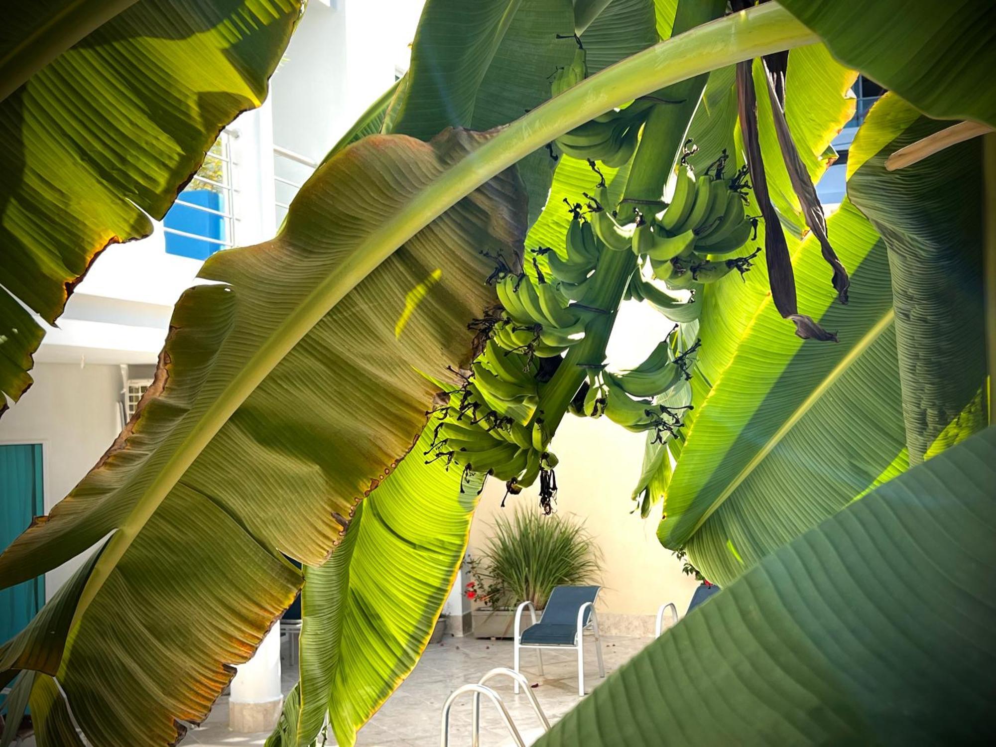 Charme 64 Hotel Boutique Cartagena エクステリア 写真